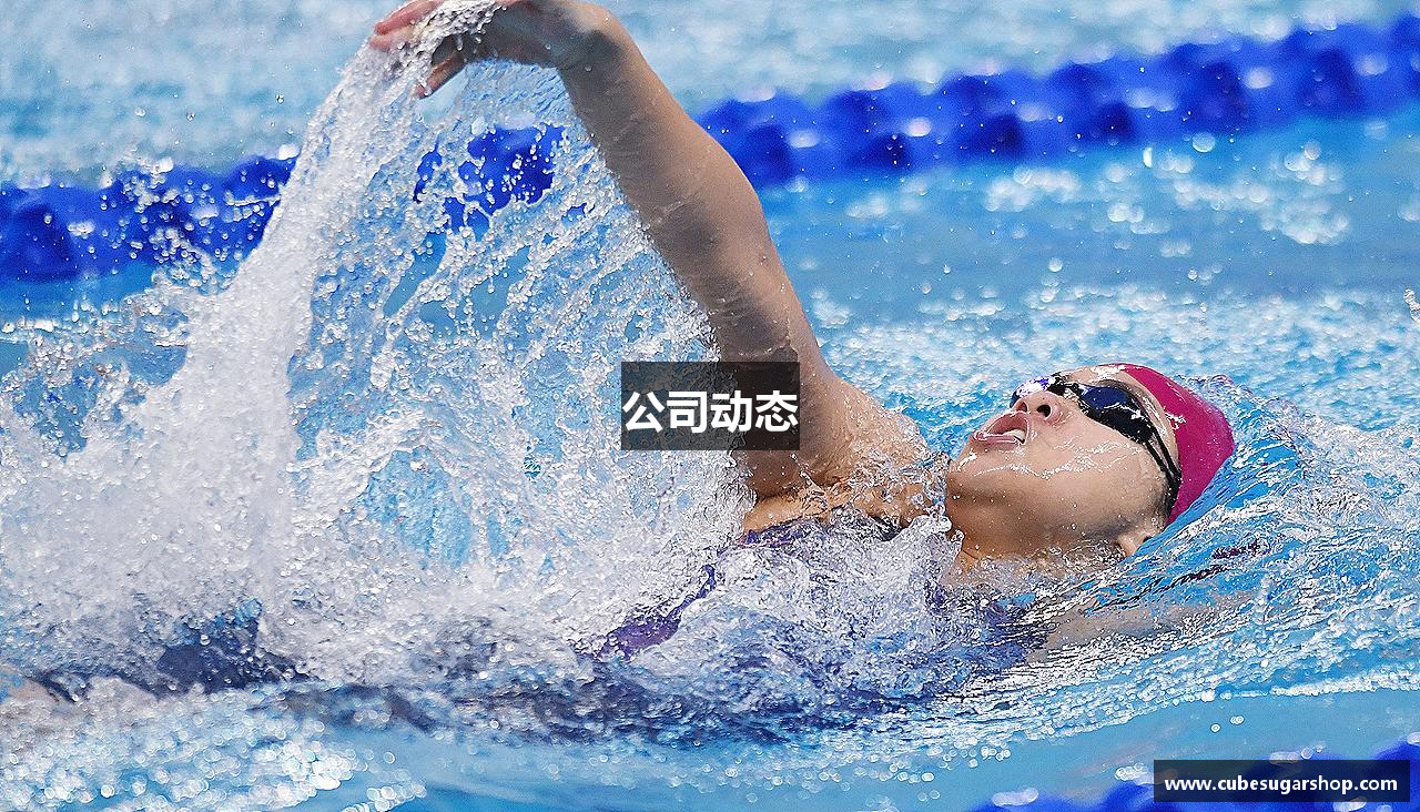 公司动态